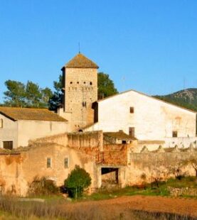 CURS DE MONITORS INTENSIU 30 de JUNY – La formació es realitzarà a OLESA DE BONESVALLS